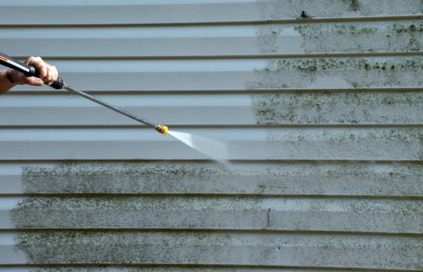 Mold Testing and Removal in Preston, ID