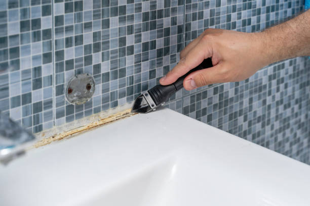 Professional Mold Removal in Preston, ID