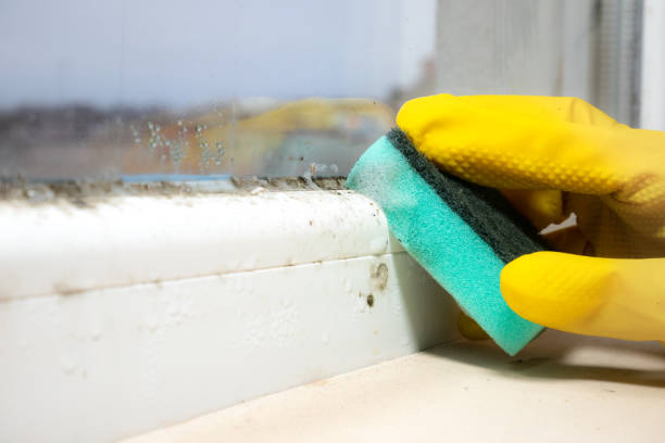 Best Crawl Space Mold Removal  in Preston, ID